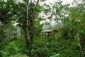 DSC04021