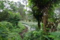 DSC04024