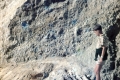 ijen001