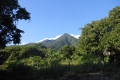 alor-to-flores-324