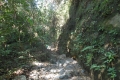 alor-to-flores-330