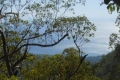 alor-to-flores-337