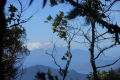 alor-to-flores-346