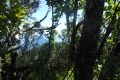 alor-to-flores-355