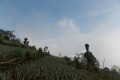 DSCN5657