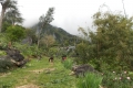 east-timor-118
