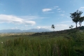 east-timor-124