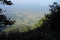 tondongkarambu 257