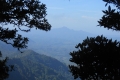 tondongkarambu 260