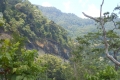 tondongkarambu 329