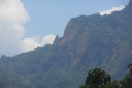 tondongkarambu 336