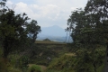 tondongkarambu 344