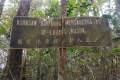 Benum - Old forestry sign (Dan Quinn, July 2024)