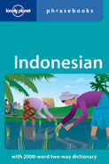 Lonely Planet Indonesian Phrasebook