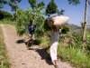 Argopuro farmers