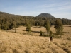 Argopuro high plateau