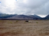 The Sea of Sand and Gunung Bromo