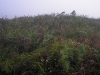 The unmarked summit area