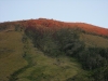 The slopes of Inerie, by Chris Whiting
