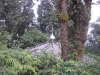 The minaret    