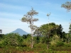 Klabat from Tangkok National Park