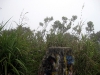 The summit on a cloudy day