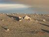Semeru summit area by Wolfgang Piecha