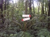 The descent - the signs at Pos 4