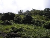 Summit rocks