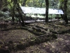 Ancient grave sites