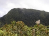 The middle grassy peak, as seen from the western peak