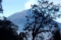 DSCN1605