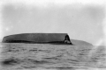 1929 Dr.Wicher Gosen Nicolaas van der Sleen COLLECTIE_TROPENAnak_Krakatau_TMnr_