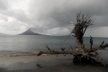DSCN3559