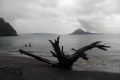 DSCN3648