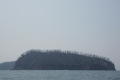 DSCN9808