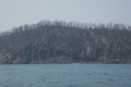 DSCN9825