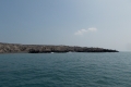 DSCN9876