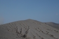 DSCN9960