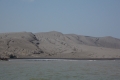 ZDSCN0050