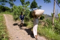 argopuro_argapuro-farmers
