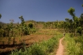 argopuro_argapuro-farming