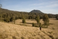 argopuro_argapuro-massive-high-plateau