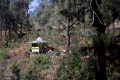 argopuro_argapuro-second-camp-site