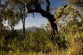 argopuro_argapuro-stunning-high-altitude-forests-2