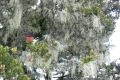argopuro_dscn1374