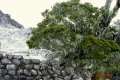 argopuro_dscn1376