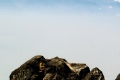 arjuno_dscn1848