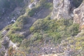 Arjuno_welirang 292