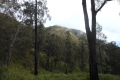 Arjuno_welirang 351